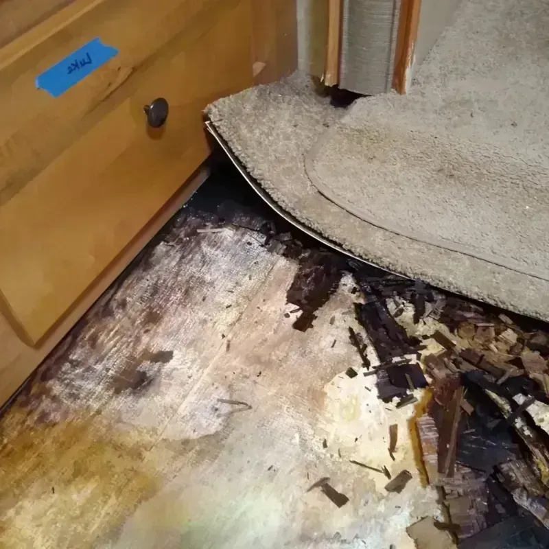 Wood Floor Water Damage in Zion, IL